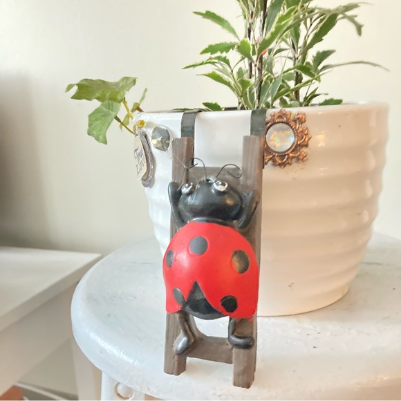 Flower pot hugger ladybug - Picture 3 of 11